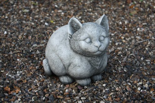 KA219 Fat Cat